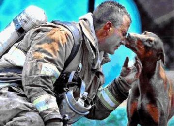 dobermann petite histoire emouvante